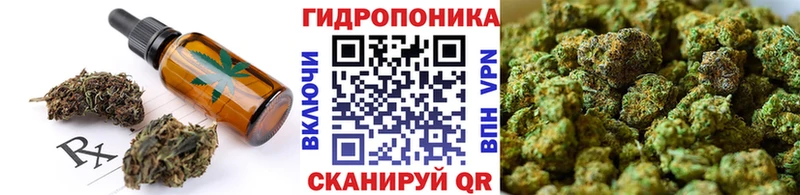 Cannafood конопля  Рузаевка 