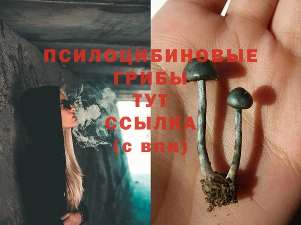 амфетамин Новозыбков